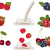free Fruit Milk vector 02