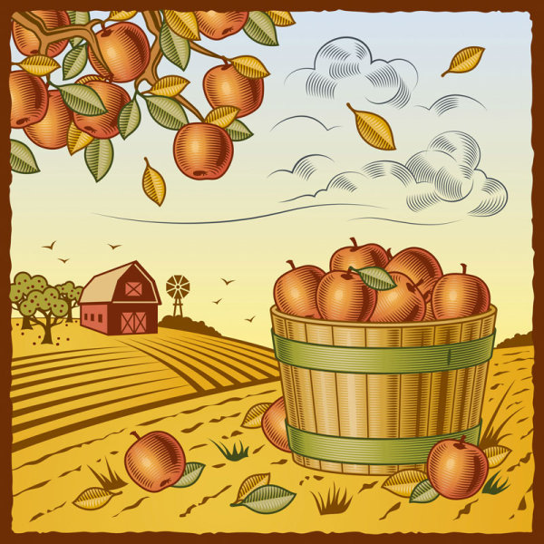 clipart apple harvest - photo #3
