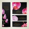 with Flowers cards vector template 01