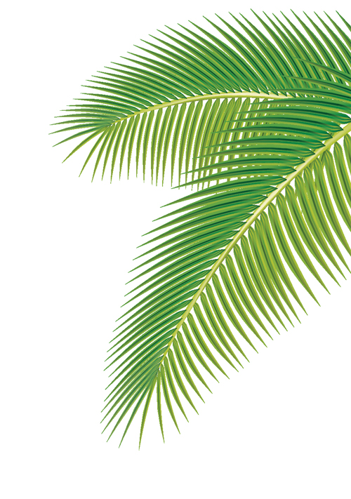 Palm Leaf Template http://freedesignfile.com/7418setofgreenpalm 