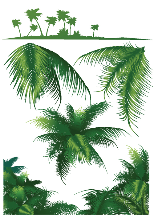 Palm Leaf Pattern Vector Set of green palm leaves