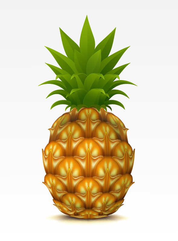clipart images pineapples - photo #39