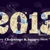 Vector set of 2013 new year design elements 05