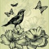 Retro Birds design elements vector 03