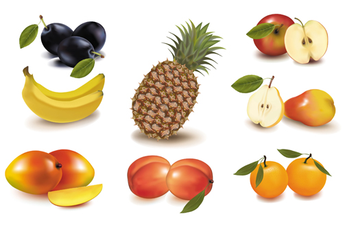 clipart of different fruits - photo #19