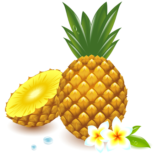 clipart images pineapples - photo #48