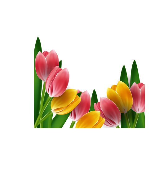 free clip art tulip border - photo #6