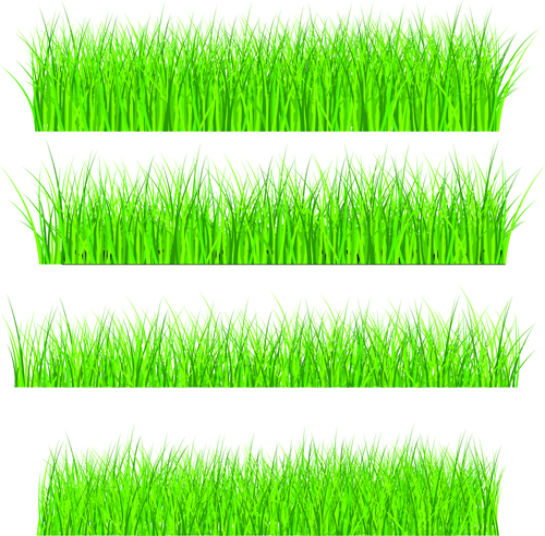 vector free download grass - photo #24