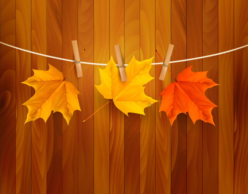 Beautiful Autumn leaves background vector 01
