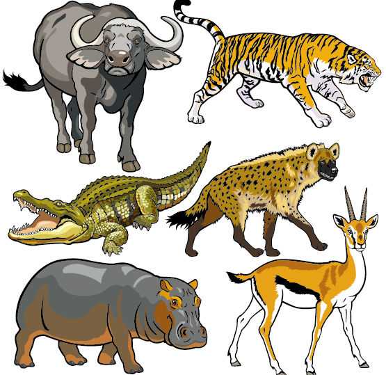 Wild animals pictures with names free download