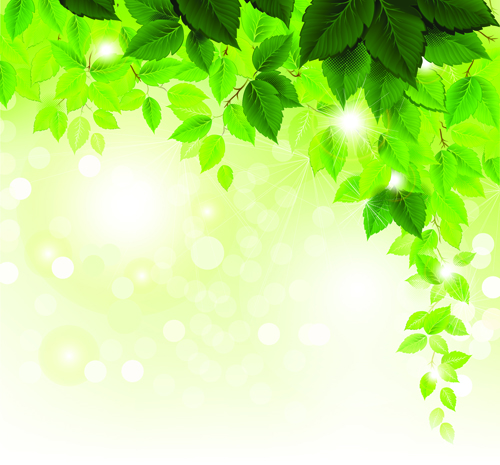 Refreshing green leaves background vector 01 - Vector Background free