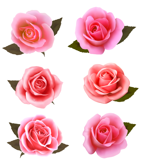vector free download rose - photo #29