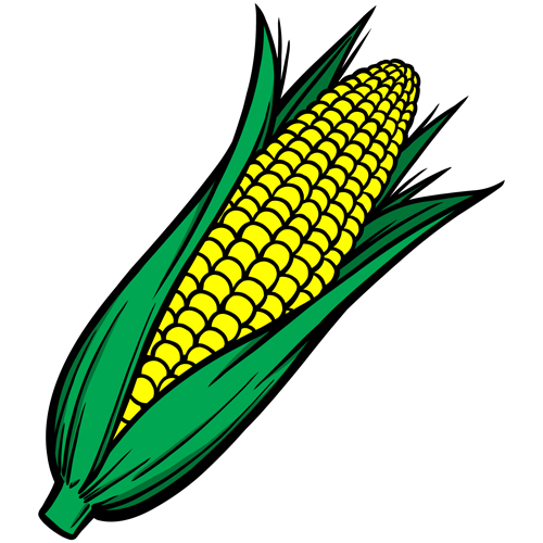 Hand drawn corn vector design 01 free download