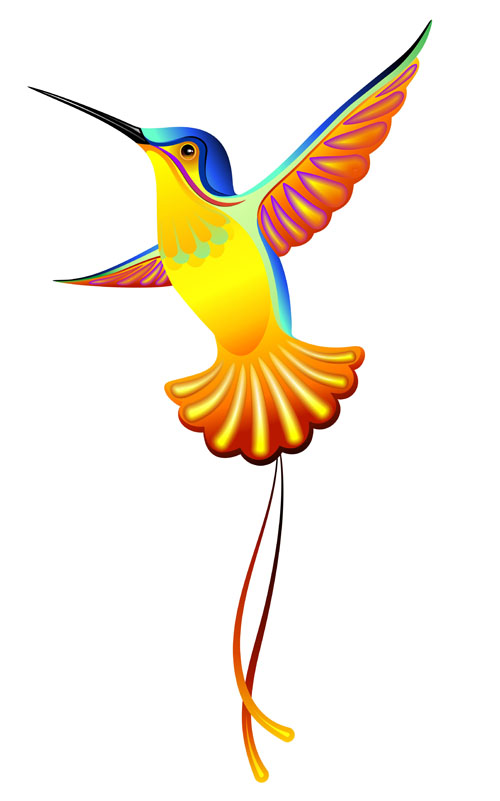 Cute hummingbird vector 01 Vector Animal free download