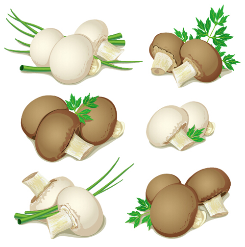 vector free download mushroom - photo #16