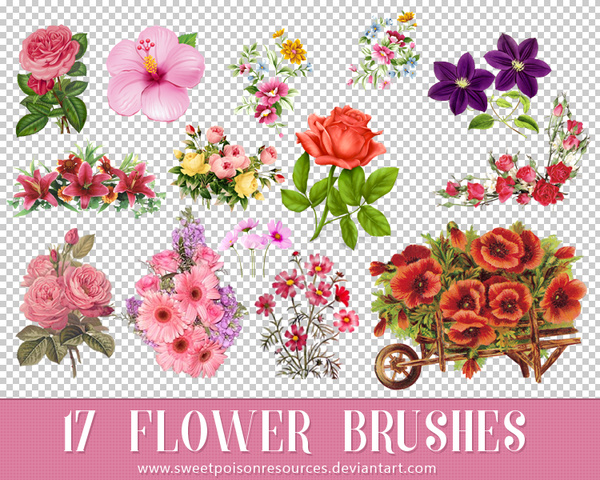 adobe photoshop cs6 flower brushes free download