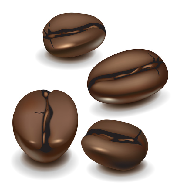 realistic coffee beans design vector free download