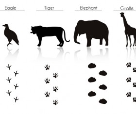 Set Of Animals Footprint Vectors - Vector Animal Free Download