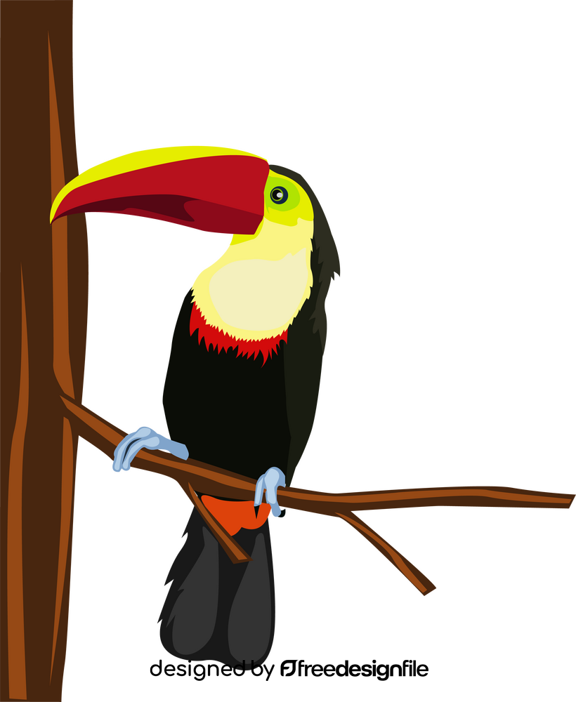 Toucan cartoon clipart