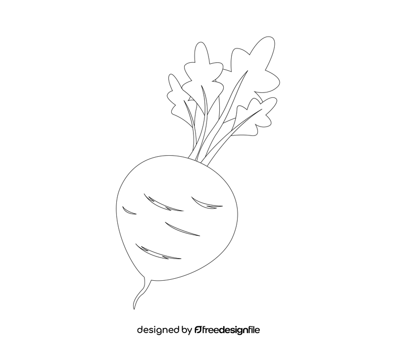 Fresh beet black and white clipart