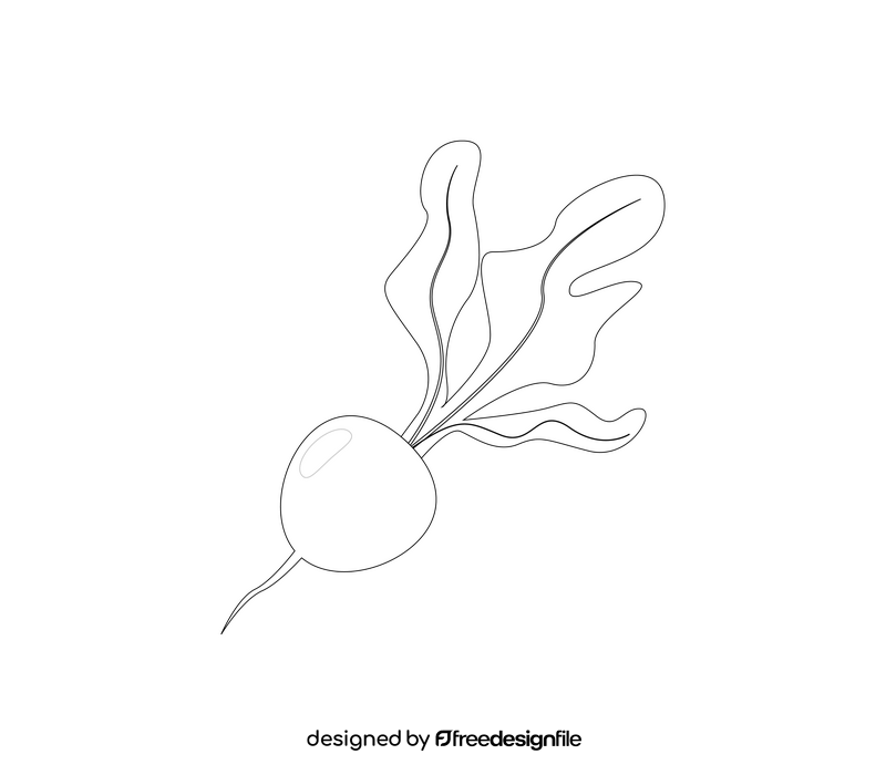 Fresh radish black and white clipart