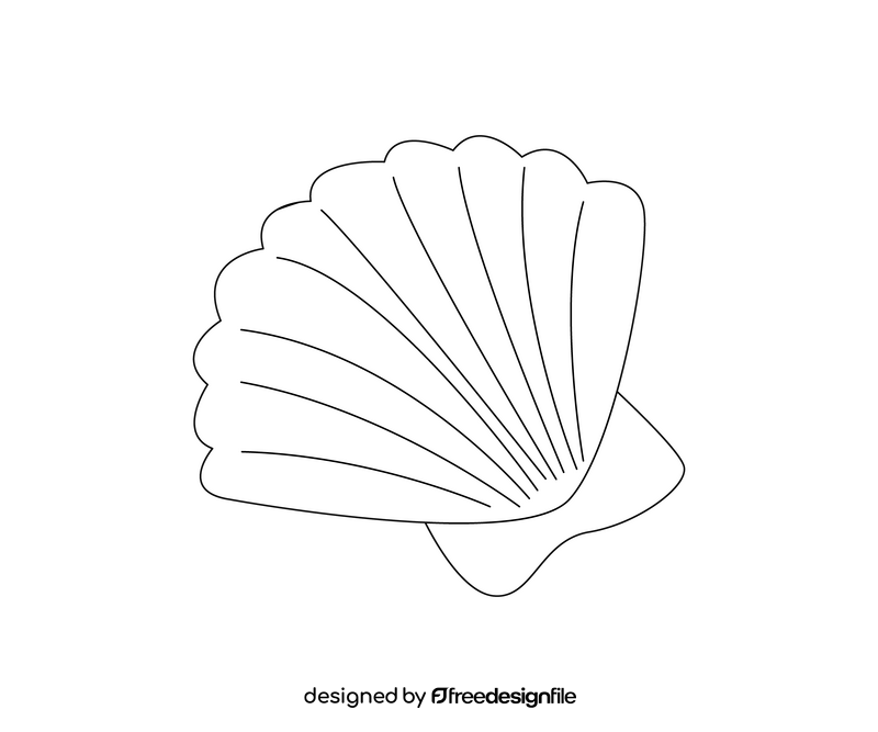 Sea shell drawing black and white clipart