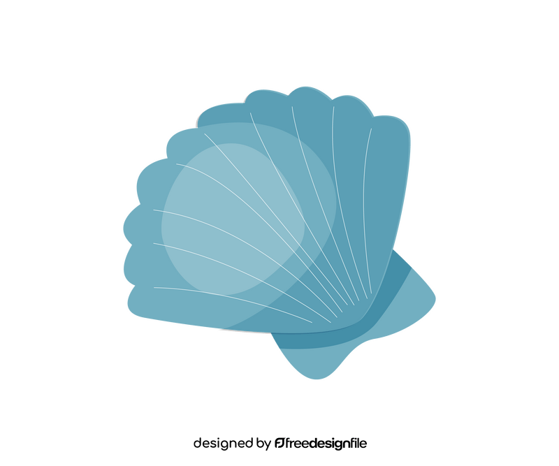 Sea shell drawing clipart