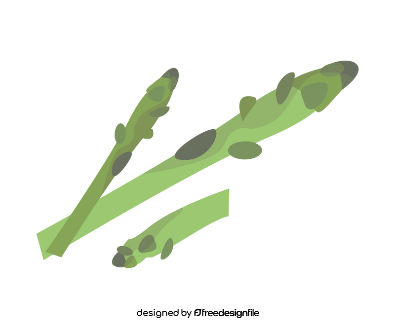 Asparagus greens illustration clipart