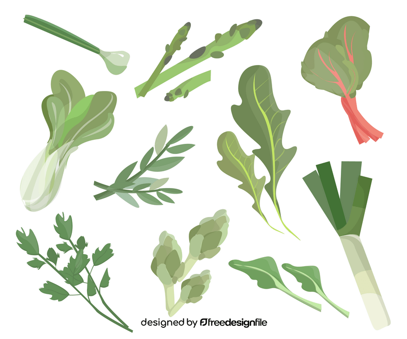 Salad greens vector