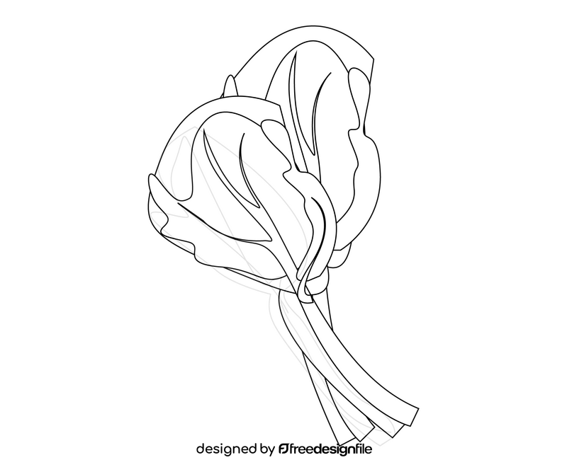 Spinach illustration black and white clipart