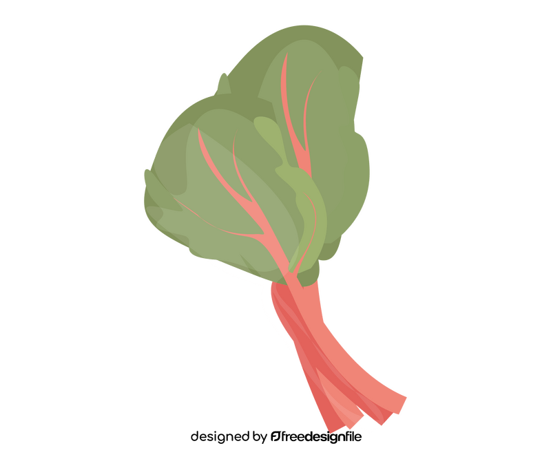 Spinach illustration clipart