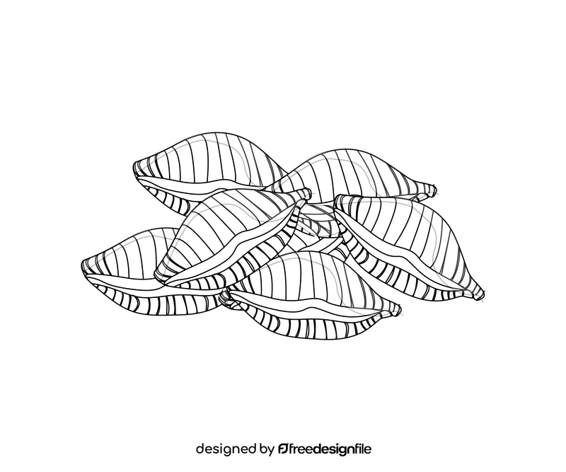 Conchiglie rigate pasta black and white clipart