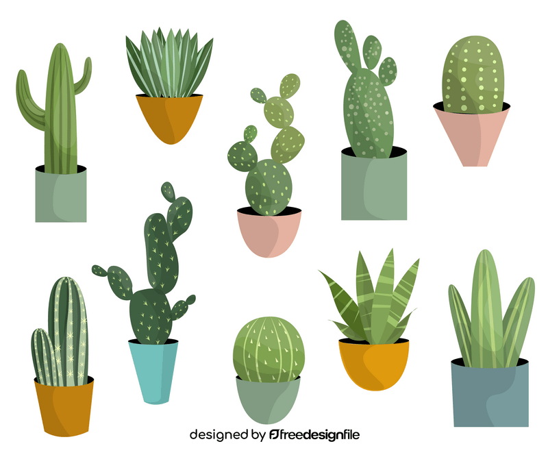 Cactus plants vector