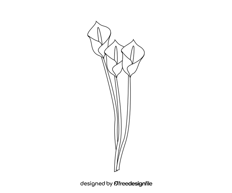 Cartoon lily flower black and white clipart