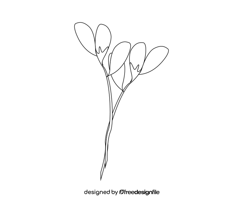 Flower drawing black and white clipart