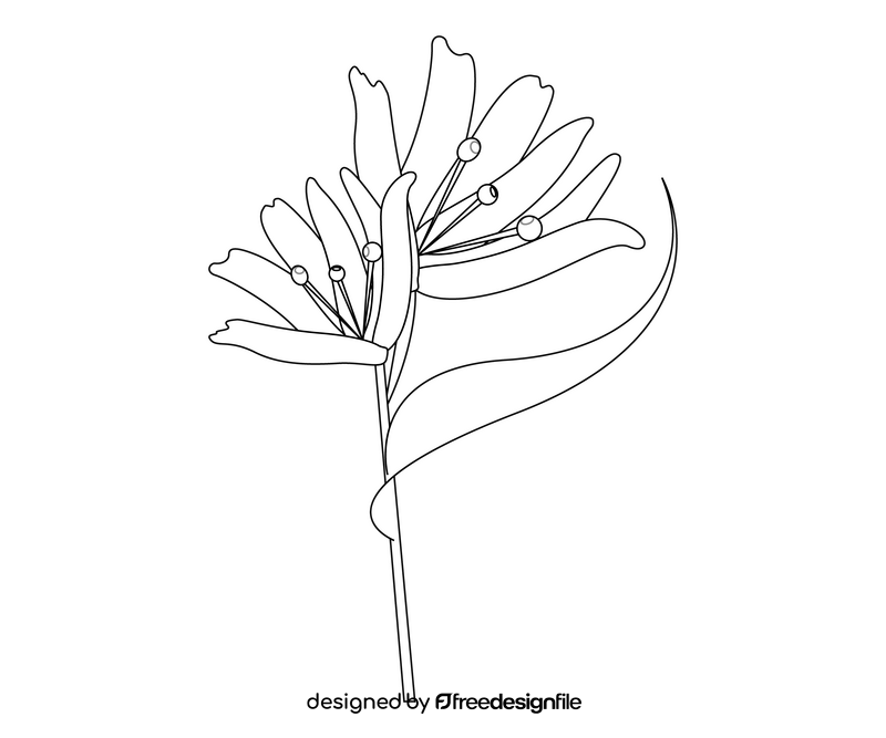 Cartoon flower black and white clipart