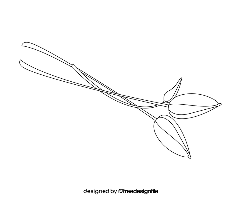 Free flower black and white clipart