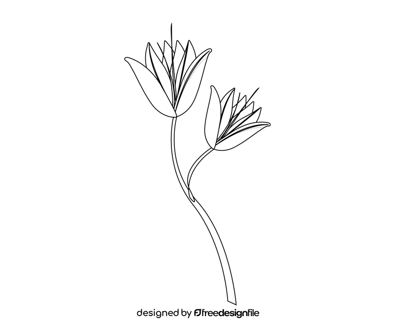 Flowers black and white clipart