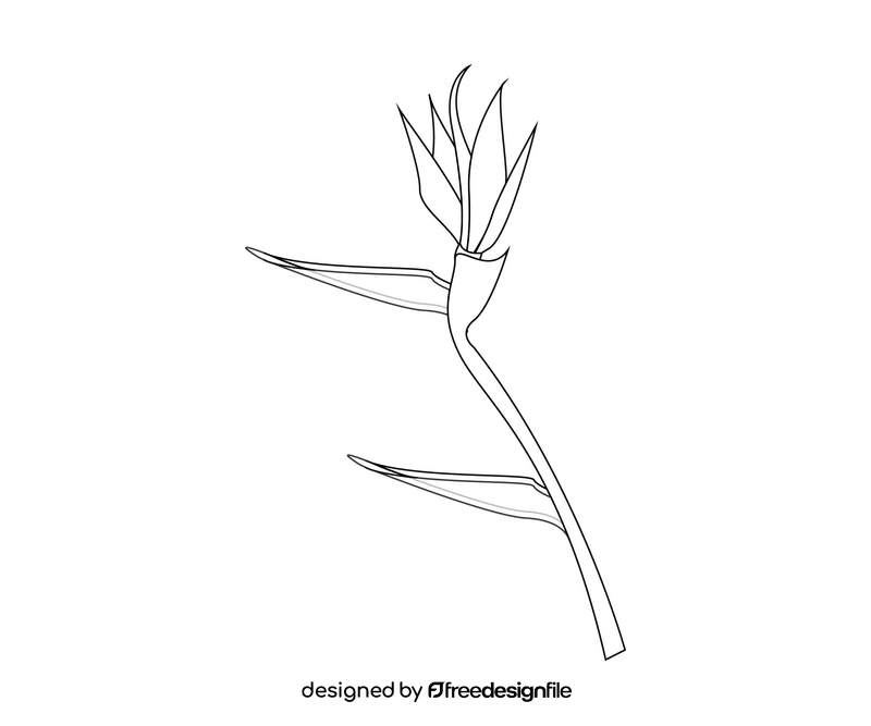 Flower cartoon black and white clipart