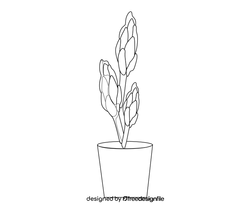 Free indoor plant black and white clipart