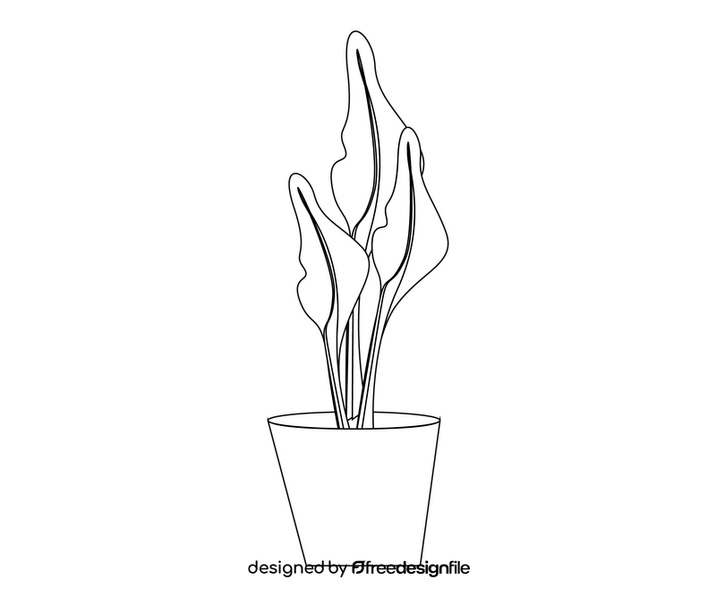 Indoor plant black and white clipart