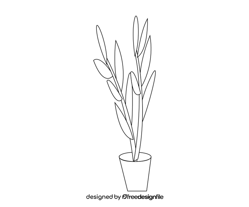 Indoor plant cartoon black and white clipart