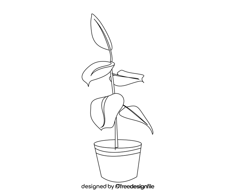 Indoor plant black and white clipart