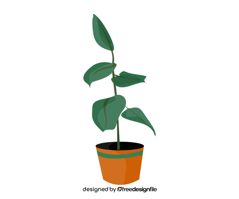 Indoor plant clipart