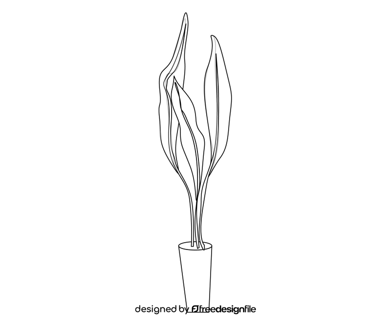 Indoor plant drawing black and white clipart