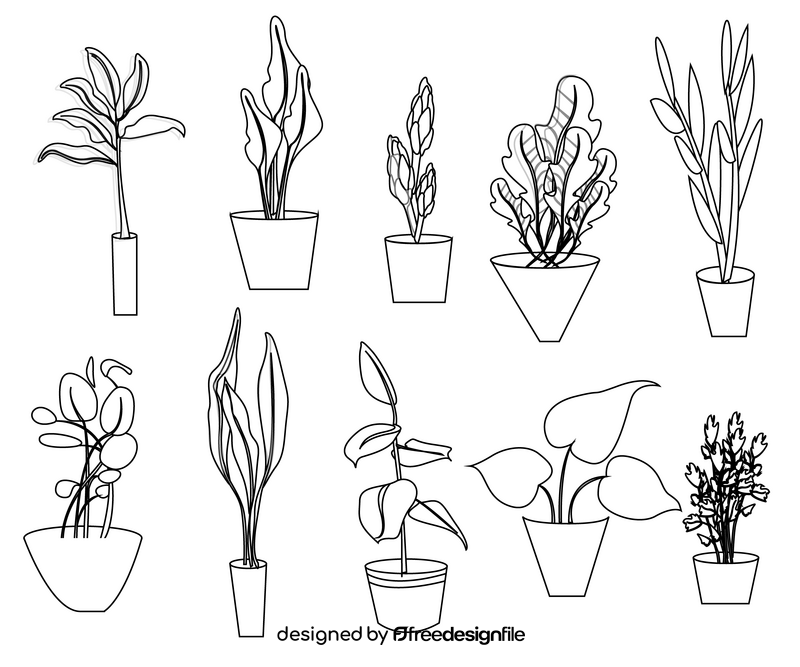 Indoor plants black and white vector