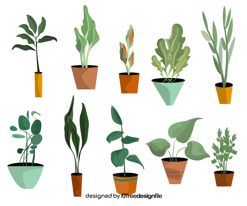 Indoor plants vector