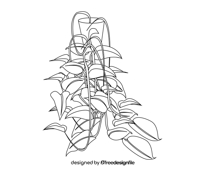 Ivy plant black and white clipart