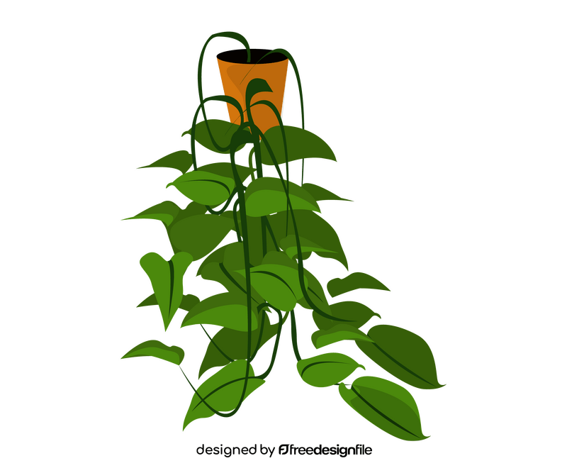 Ivy plant clipart
