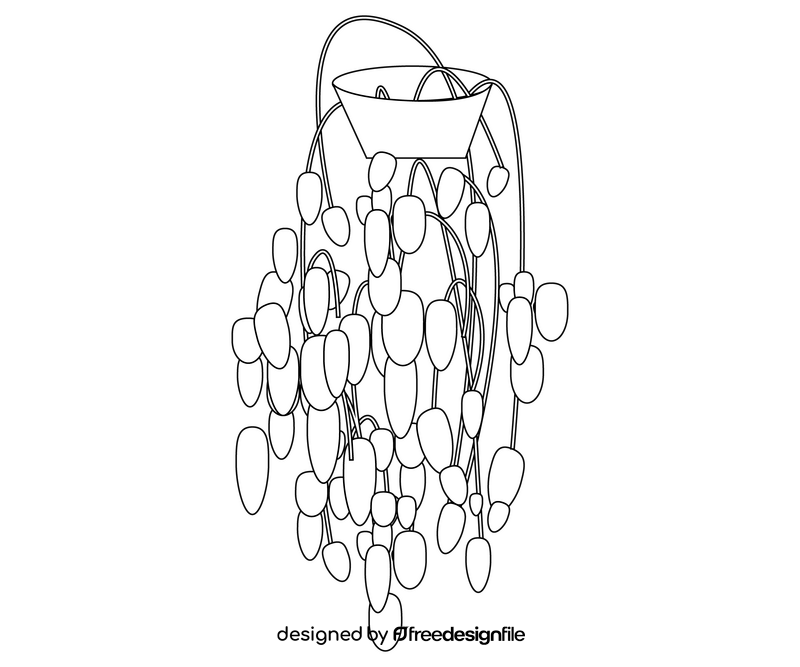 English ivy plant black and white clipart